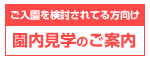 メール問い合わせ
